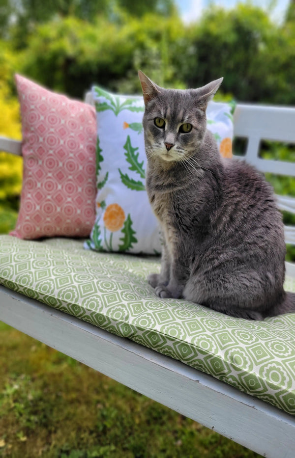 grey cat sitting on garden bench with lizzie mabley designed cusions in rebecca and dandelion fabrics